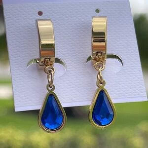 Stainless Steel 14K Gold Plated Earrings